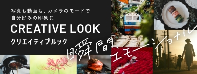 ʐ^AJ̃[hŎD݂̈ۂɁBCREATIVE LOOK