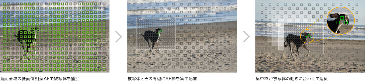  摜̓ASY̓C[Wł