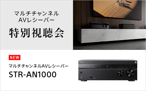 }``lAVV[o[ STR-AN1000 ʎ