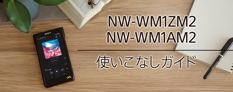 NW-WM1ZM2/NW-WM1AM2 gȂKCh
